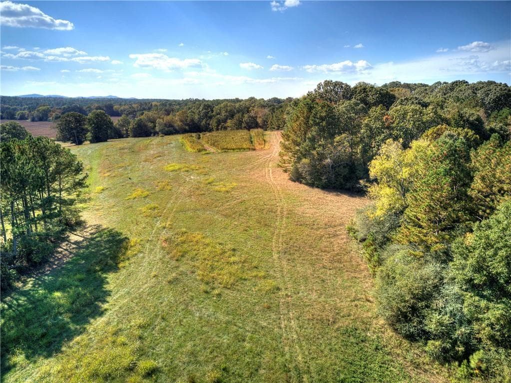 unimproved land for sale at 0 Taff Road, Taylorsville, GA 30178 — photo 5