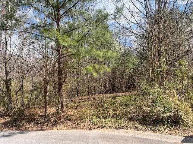 other for sale at 78 Heights Hollow, Acworth, GA 30101