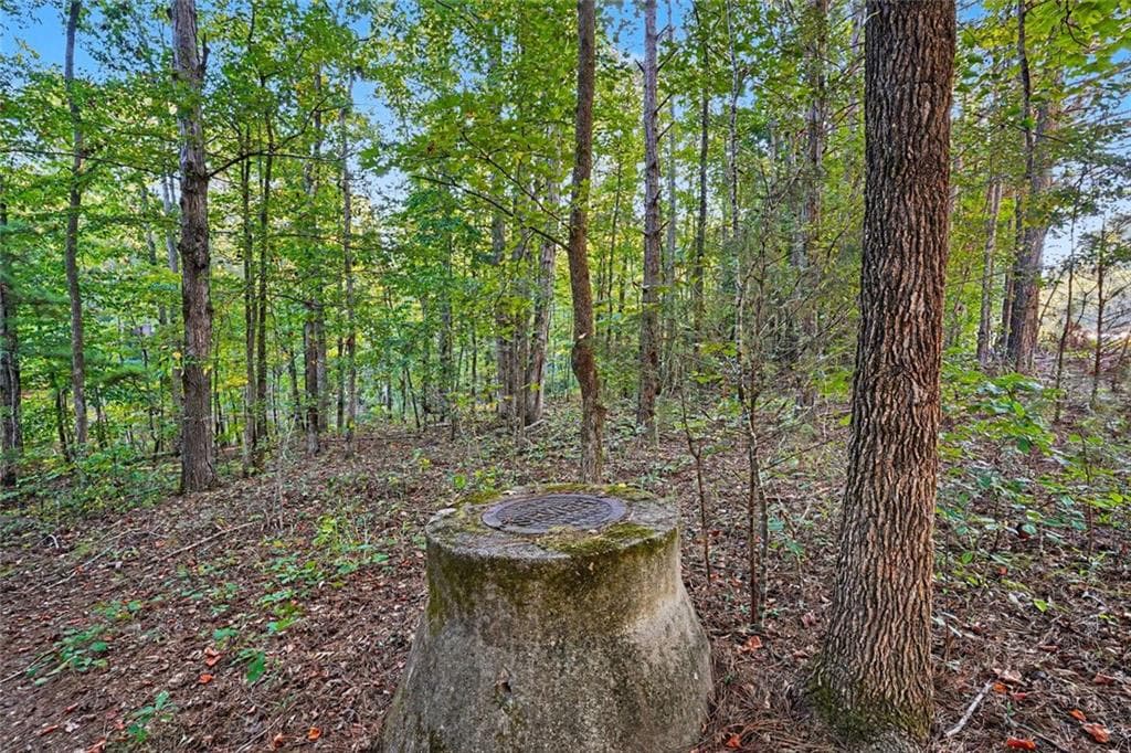 1 bedroom, 1 bathroom unimproved land for sale at 0 Locust Road, Locust Grove, GA 30248 — photo 2