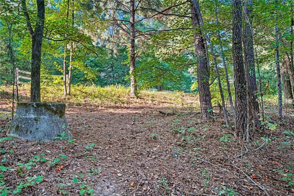 1 bedroom, 1 bathroom unimproved land for sale at 0 Locust Road, Locust Grove, GA 30248 — photo 3