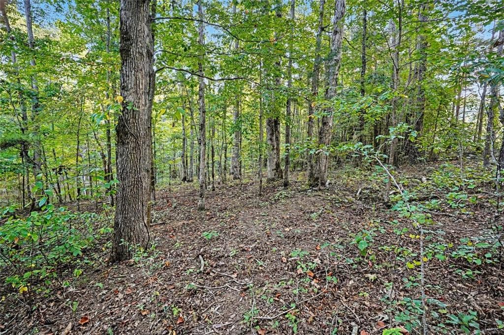 1 bedroom, 1 bathroom unimproved land for sale at 0 Locust Road, Locust Grove, GA 30248 — photo 4