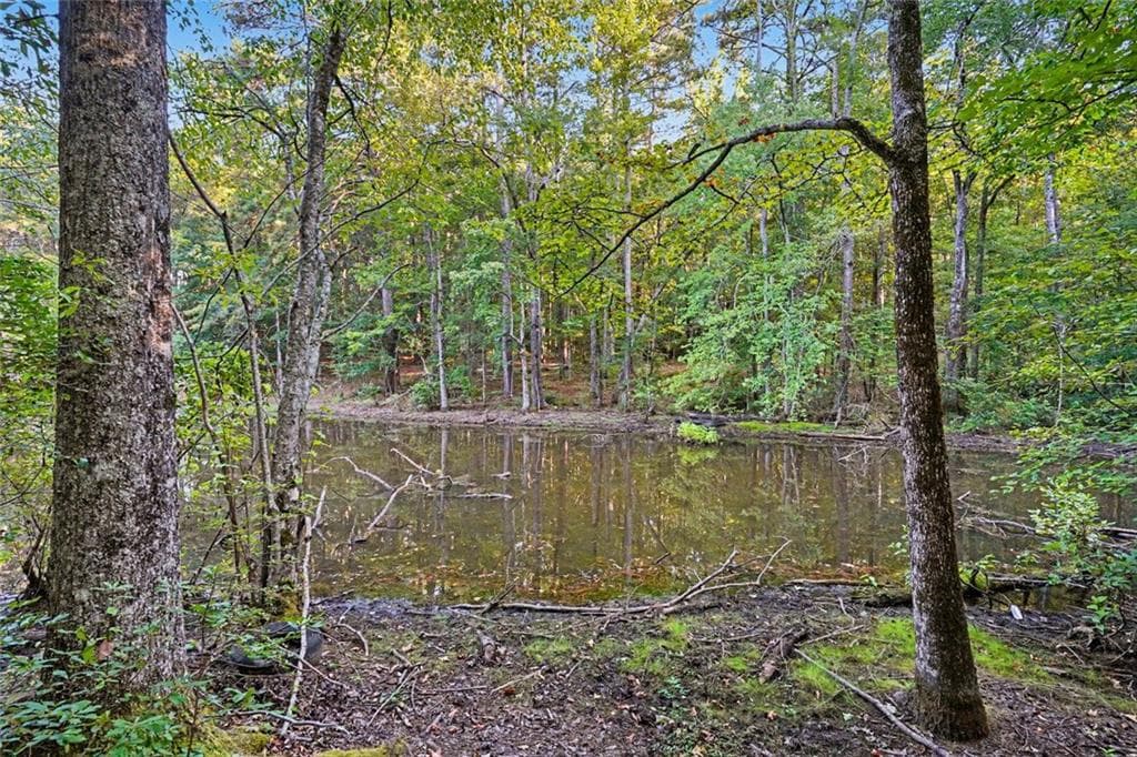 1 bedroom, 1 bathroom unimproved land for sale at 0 Locust Road, Locust Grove, GA 30248 — photo 5