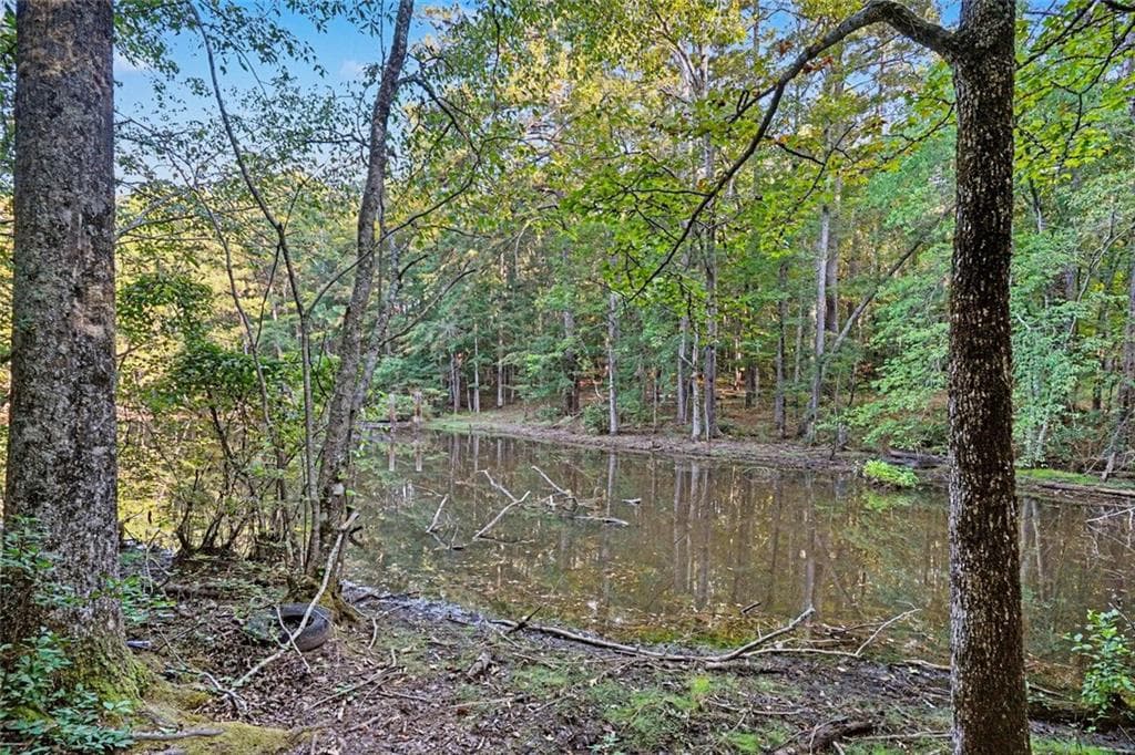 1 bedroom, 1 bathroom unimproved land for sale at 0 Locust Road, Locust Grove, GA 30248 — photo 6