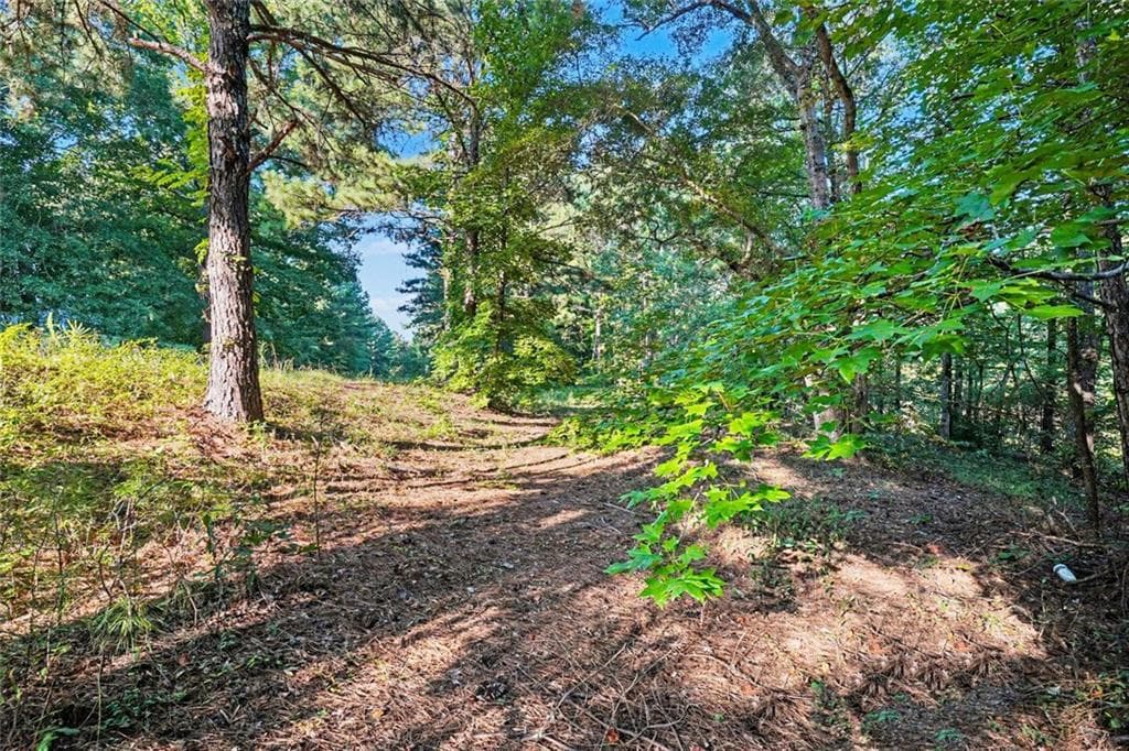 1 bedroom, 1 bathroom unimproved land for sale at 0 Locust Road, Locust Grove, GA 30248 — photo 7