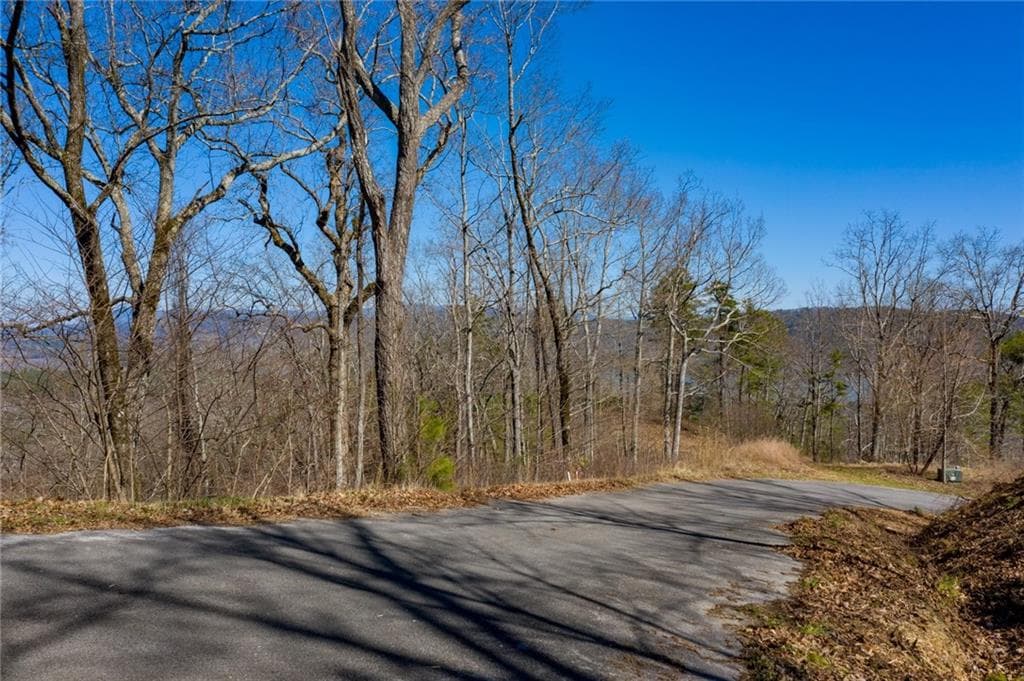 single family residence for sale at 278 Carters Overlook Drive, Ranger, GA 30734 — photo 8