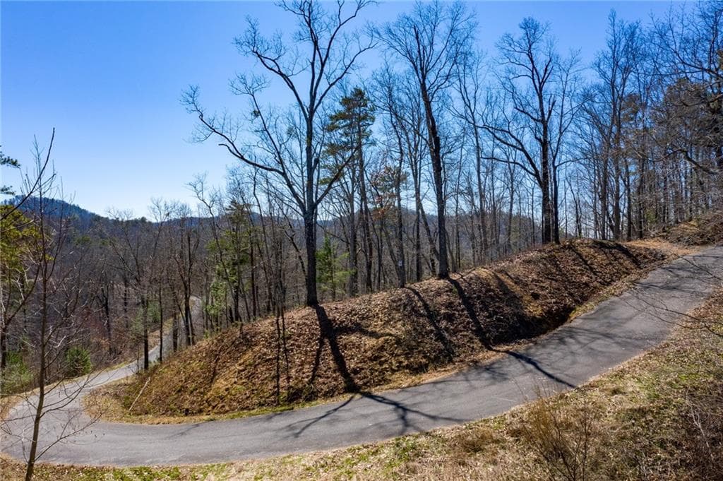 single family residence for sale at 278 Carters Overlook Drive, Ranger, GA 30734 — photo 10