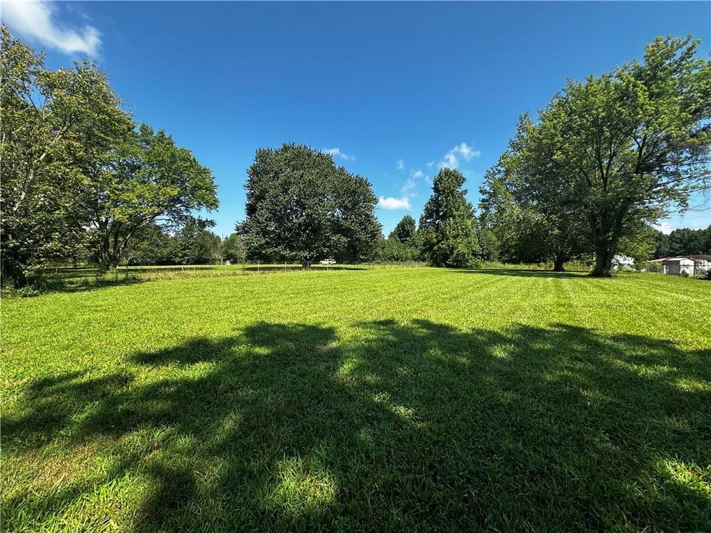 unimproved land for sale at 00 Oak Way, Temple, GA 30179 — photo 4