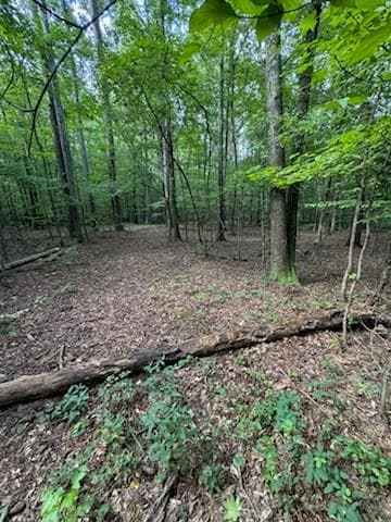 other for sale at 184 W Mcbride Road, Fayetteville, GA 30215