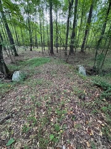 other for sale at 184 W Mcbride Road, Fayetteville, GA 30215 — photo 2