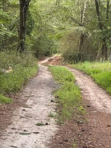 other for sale at 184 W Mcbride Road, Fayetteville, GA 30215 — photo 3
