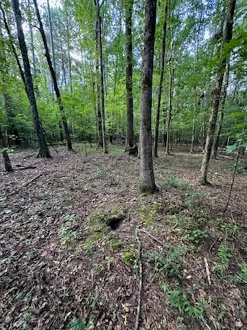 other for sale at 184 W Mcbride Road, Fayetteville, GA 30215 — photo 4