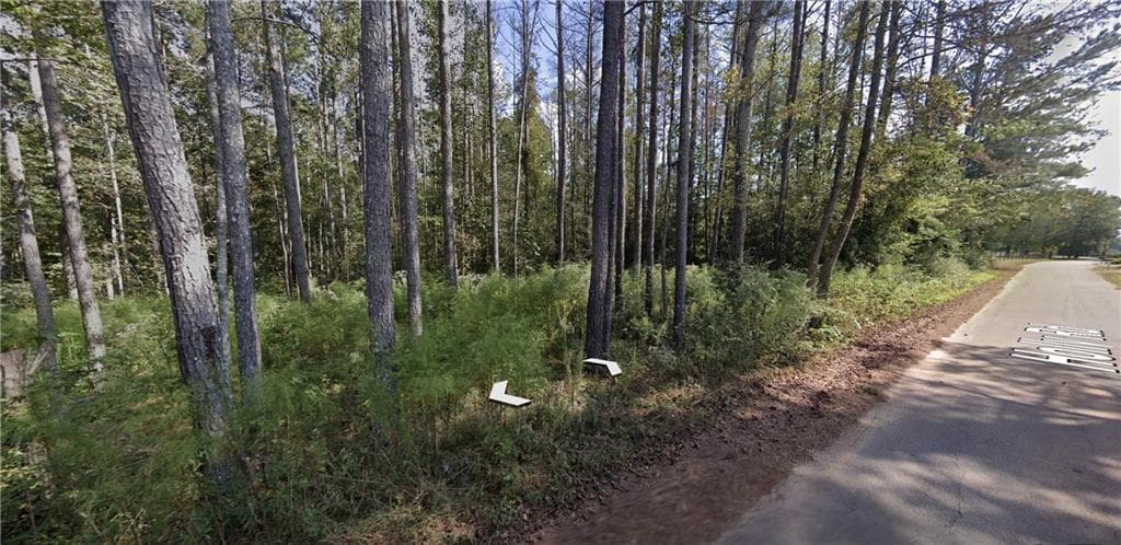 single family residence for sale at 0 Holly Road TRACT 3, Bowdon, GA 30108 — photo 2
