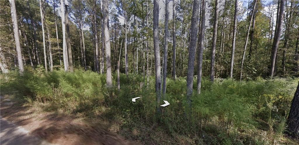 single family residence for sale at 0 Holly Road TRACT 3, Bowdon, GA 30108 — photo 3