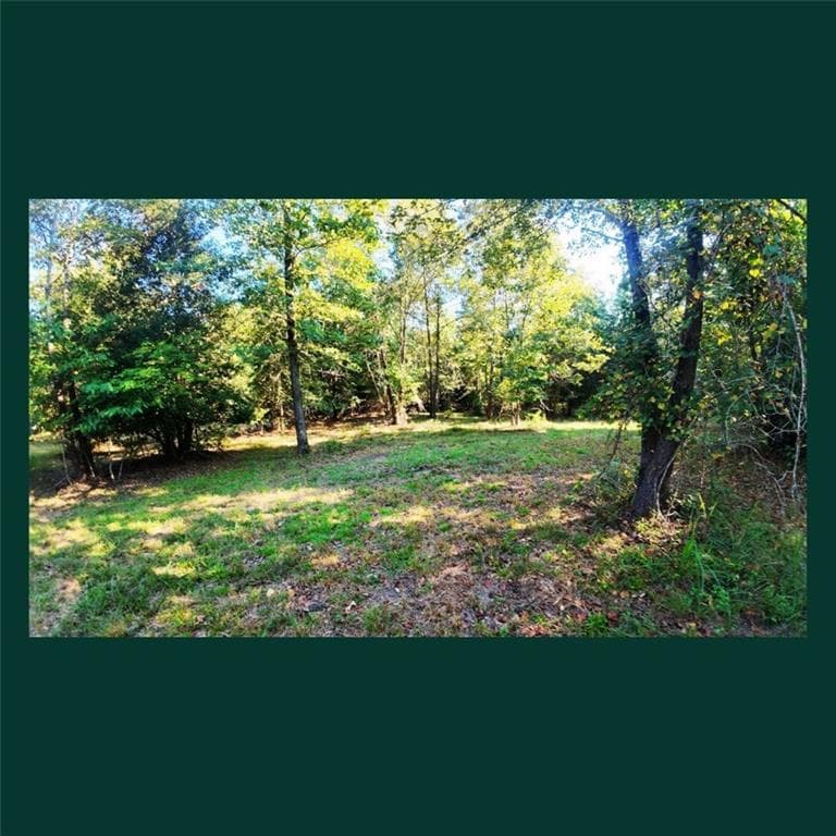 other for sale at 00 Gill Point Rd., Tignall, GA 30668 — photo 3