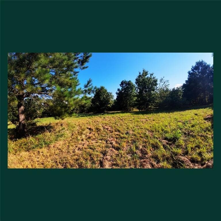 other for sale at 00 Gill Point Rd., Tignall, GA 30668 — photo 4