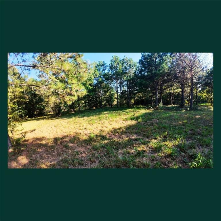 other for sale at 00 Gill Point Rd., Tignall, GA 30668 — photo 5