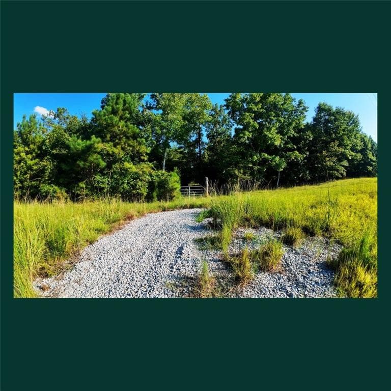 other for sale at 00 Gill Point Rd., Tignall, GA 30668 — photo 6