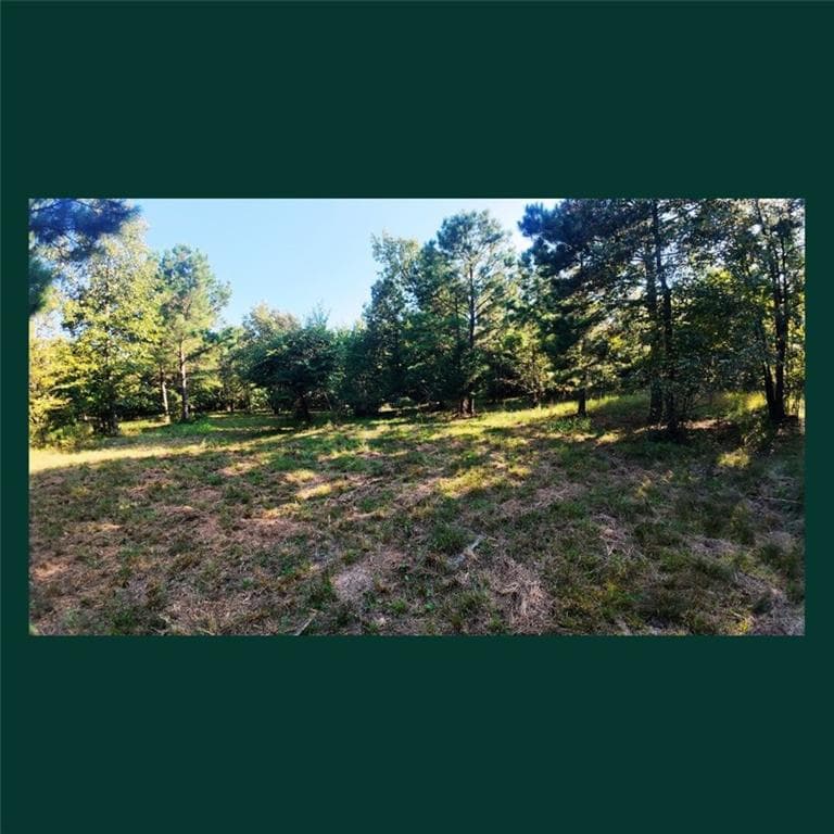 other for sale at 00 Gill Point Rd., Tignall, GA 30668 — photo 7