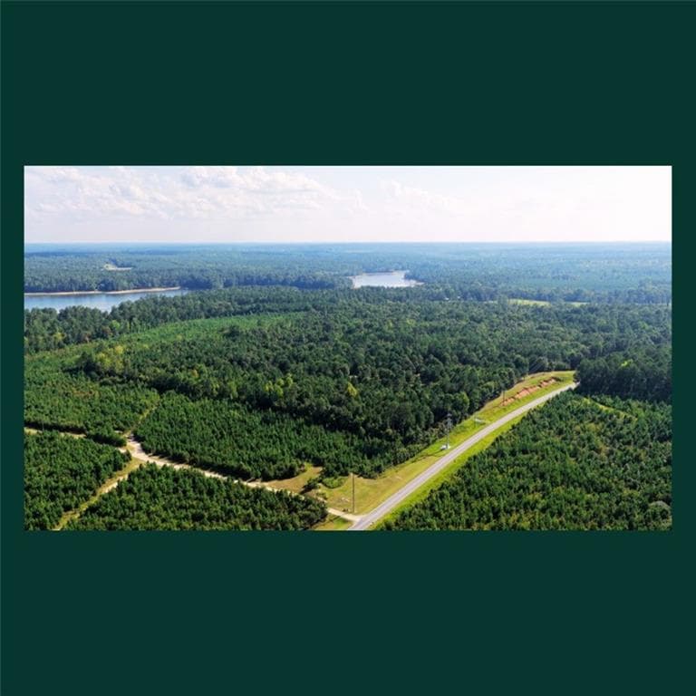 other for sale at 00 Gill Point Rd., Tignall, GA 30668 — photo 9