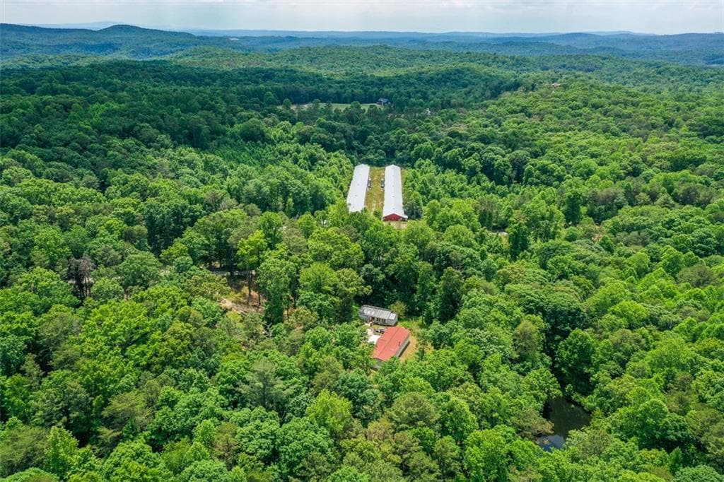 3 bedroom, 3 bathroom, 1,848 sq ft single family residence under contract at 1010 Painter Road, Talking Rock, GA 30175 — photo 10