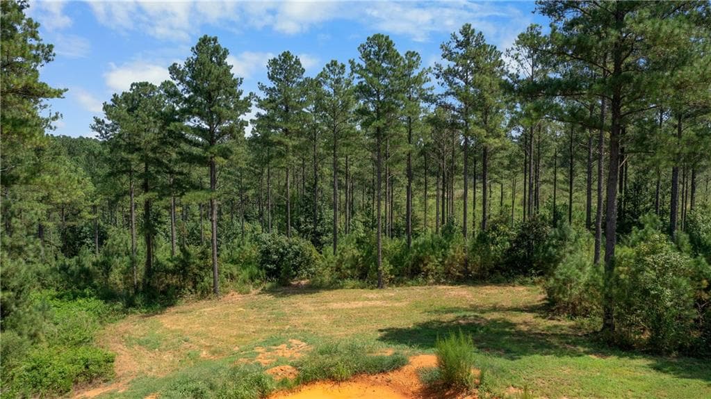3 bedroom, 2 bathroom, 1,216 sq ft single family residence for sale at 3390 Pleasant Valley Road, Rome, GA 30161 — photo 4