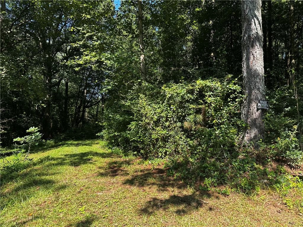 unimproved land for sale at 00 Overbrook Drive, Temple, GA 30179 — photo 1 of 7