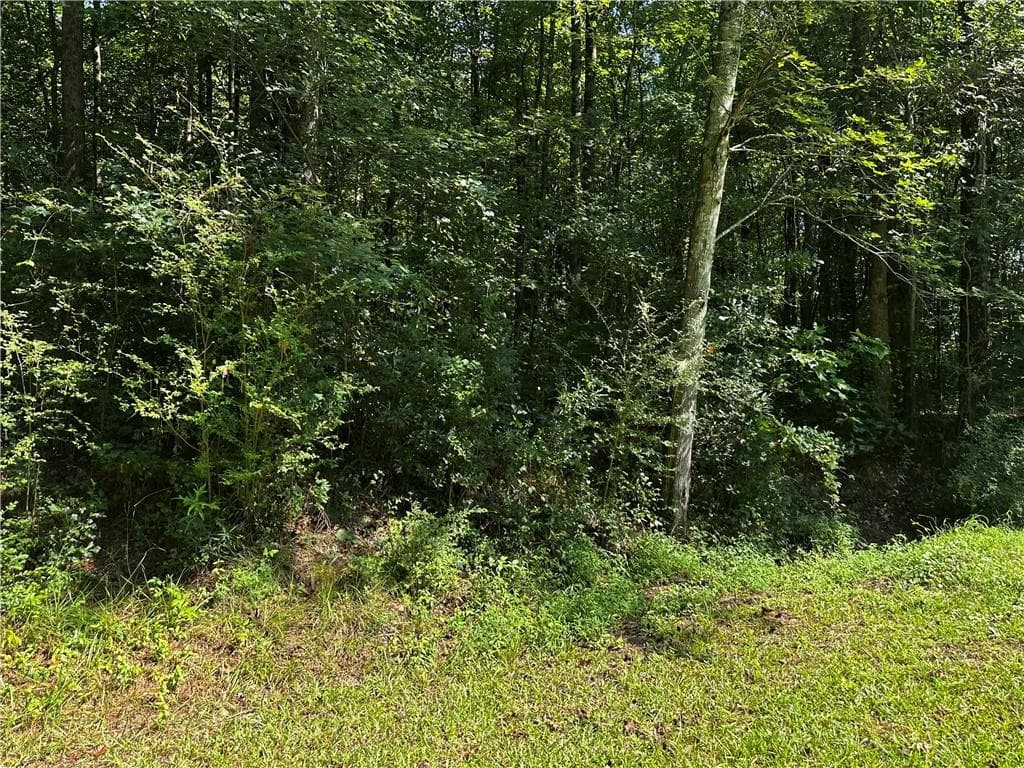 unimproved land for sale at 00 Overbrook Drive, Temple, GA 30179 — photo 2