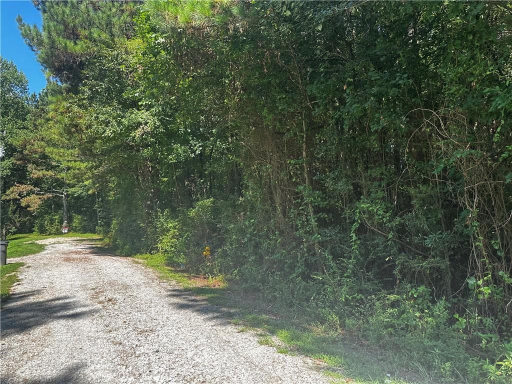 unimproved land for sale at 00 Overbrook Drive, Temple, GA 30179 — photo 3