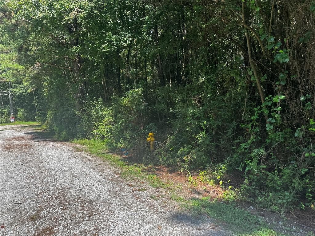 unimproved land for sale at 00 Overbrook Drive, Temple, GA 30179 — photo 5