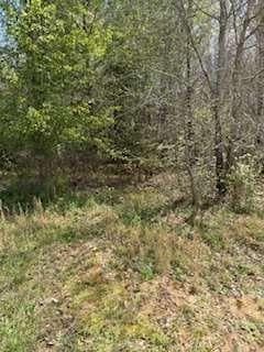 3 bedroom, 2 bathroom, 980 sq ft single family residence for sale at 390 Fields Road, Cedartown, GA 30125 — photo 5