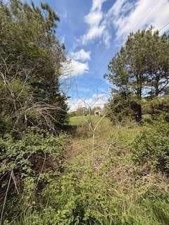 3 bedroom, 2 bathroom, 980 sq ft single family residence for sale at 390 Fields Road, Cedartown, GA 30125 — photo 7