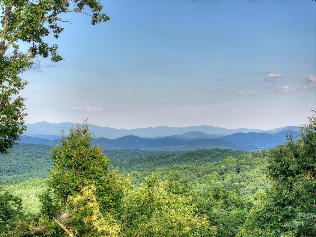 3 bedroom, 4 bathroom, 4,104 sq ft single family residence for sale at 224 Eagle Ridge, Morganton, GA 30560 — photo 3