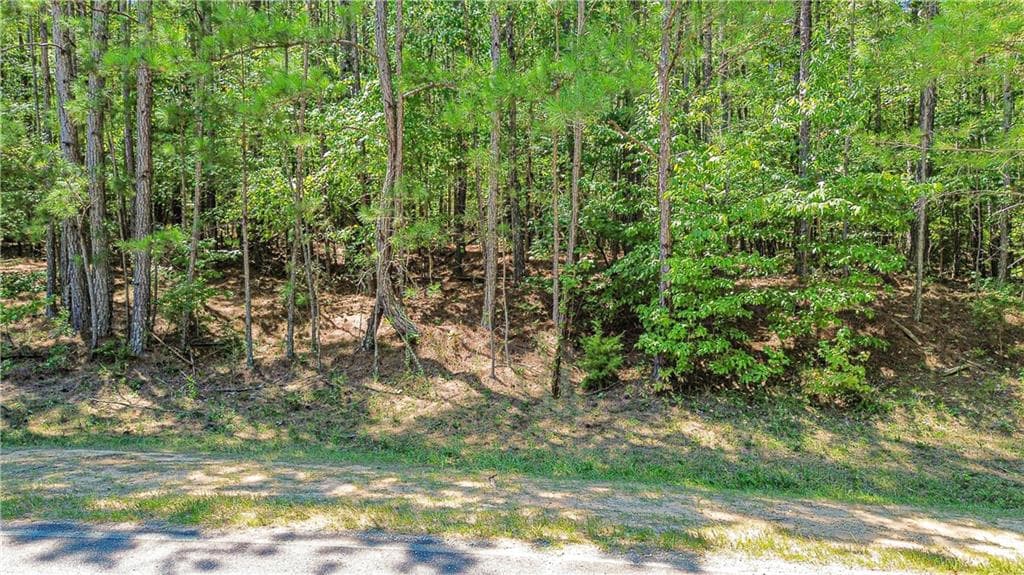 unimproved land for sale at 288 Pope Trail, Covington, GA 30014 — photo 8
