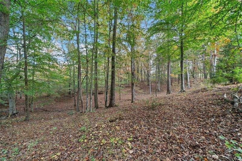 single family residence for sale at 000 Ammons Drive, Waleska, GA 30183 — photo 2