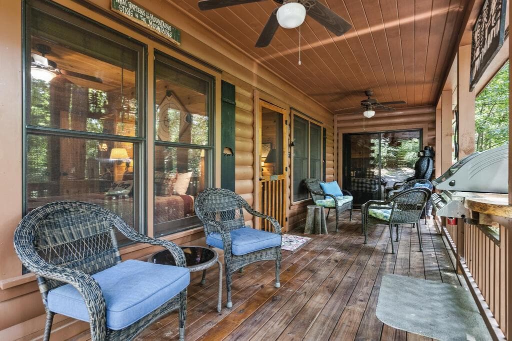 2 bedroom, 2 bathroom, 988 sq ft single family residence for sale at 43 Jason Martin Circle, Cherry Log, GA 30522 — photo 3
