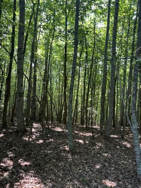 single family residence for sale at Tract A Oak Ledge Road, Morganton, GA 30560 — photo 3