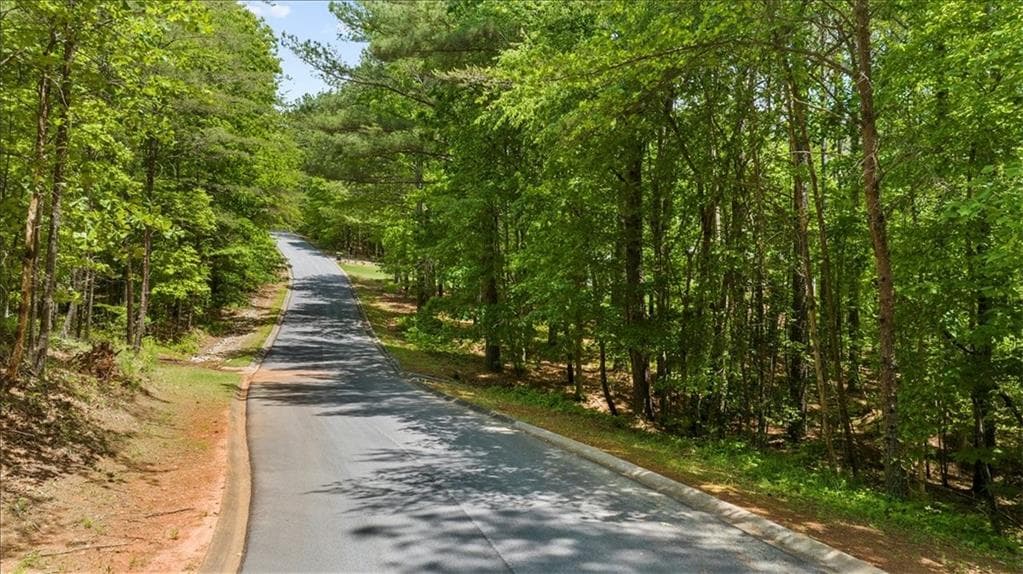 single family residence for sale at 0 Golden Delicious Road, Clarkesville, GA 30523 — photo 2