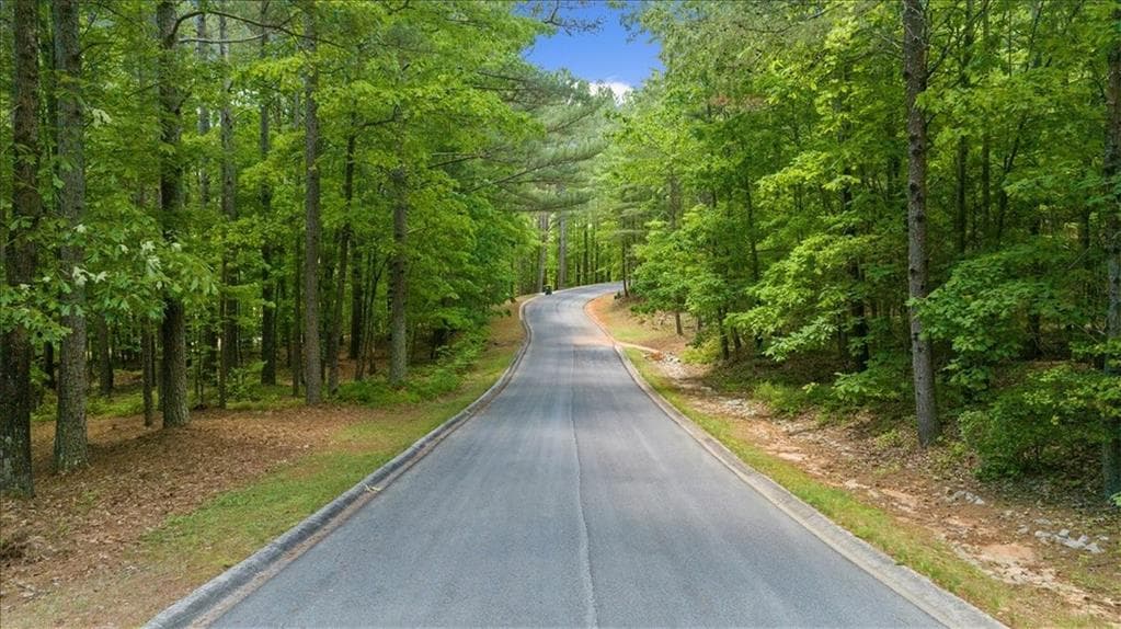 single family residence for sale at 0 Golden Delicious Road, Clarkesville, GA 30523 — photo 3