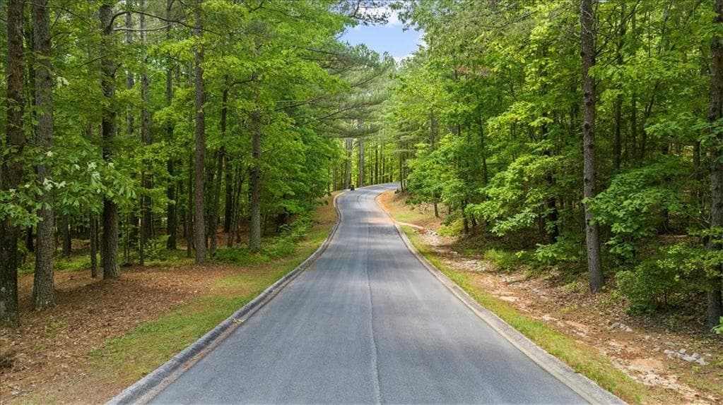 single family residence for sale at 0 Golden Delicious Road, Clarkesville, GA 30523 — photo 4