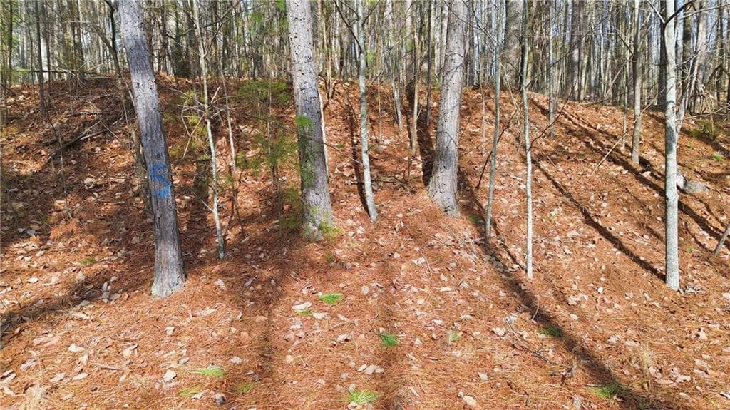single family residence for sale at 765 Plum Lane, Clarkesville, GA 30523 — photo 2
