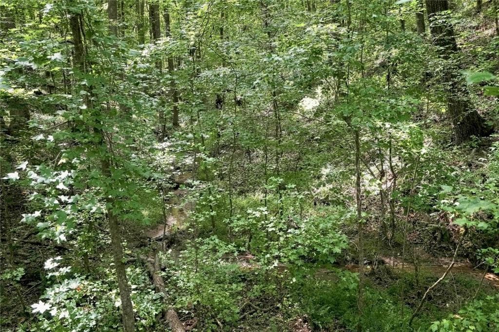 unimproved land for sale at 0 Shadow Wood Drive Lot 1, Monroe, GA 30656 — photo 7