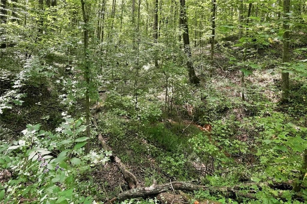 unimproved land for sale at 0 Shadow Wood Drive Lot 2, Monroe, GA 30656 — photo 6