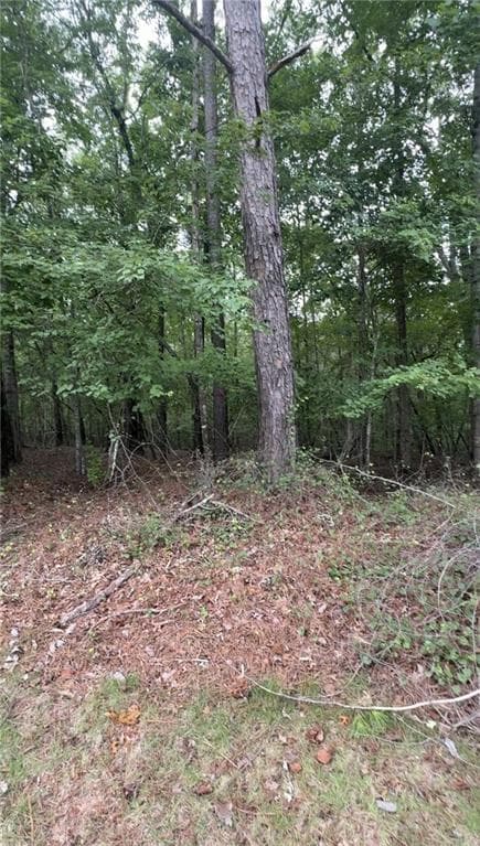 unimproved land for sale at 5850 Double Birch, Douglasville, GA 30135 — photo 1 of 1