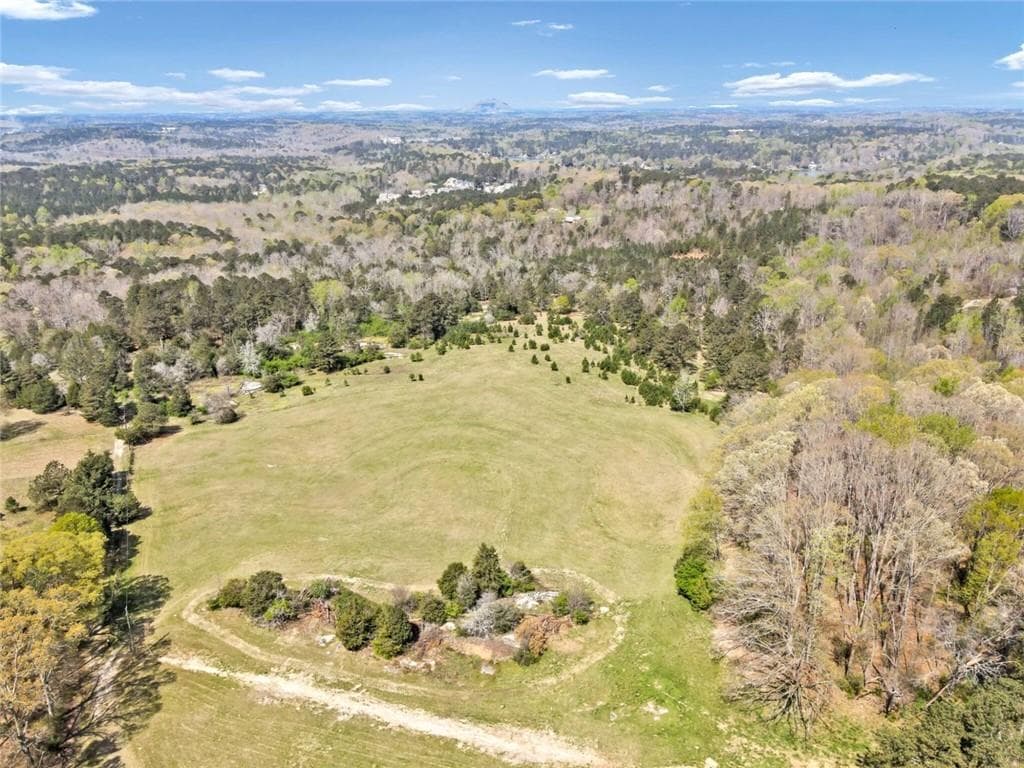 unimproved land for sale at 1089 Pleasant Hill Road, Conyers, GA 30012 — photo 4