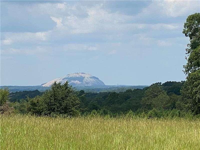 unimproved land for sale at 1089 Pleasant Hill Road, Conyers, GA 30012 — photo 7
