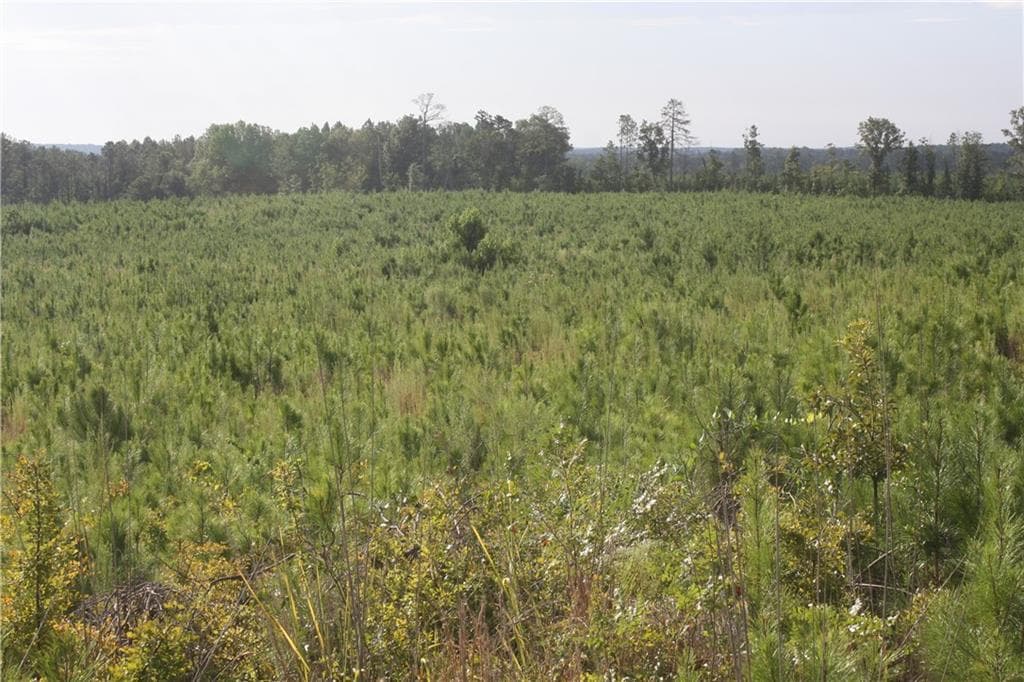 unimproved land for sale at 0 Balerma Church Road, Sparta, GA 31087 — photo 3