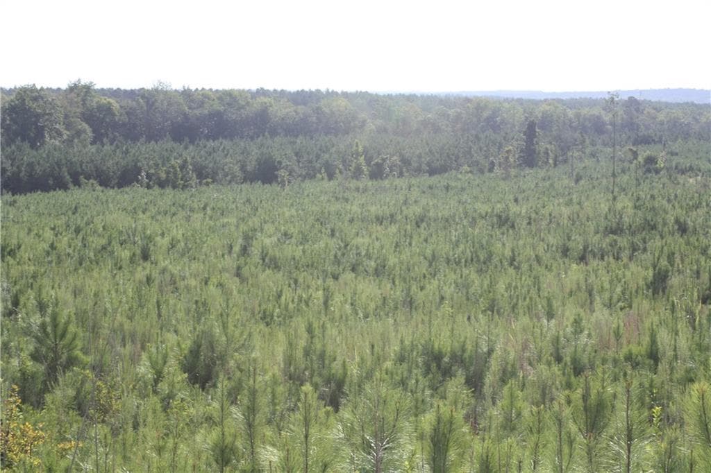 unimproved land for sale at 0 Balerma Church Road, Sparta, GA 31087 — photo 5