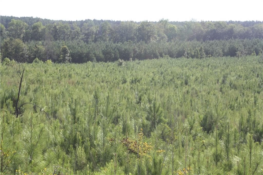 unimproved land for sale at 0 Balerma Church Road, Sparta, GA 31087 — photo 6