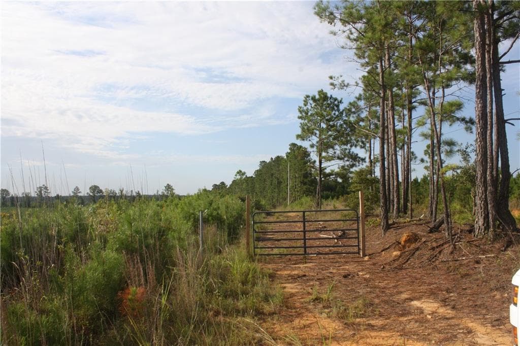 unimproved land for sale at 0 Balerma Church Road, Sparta, GA 31087 — photo 7
