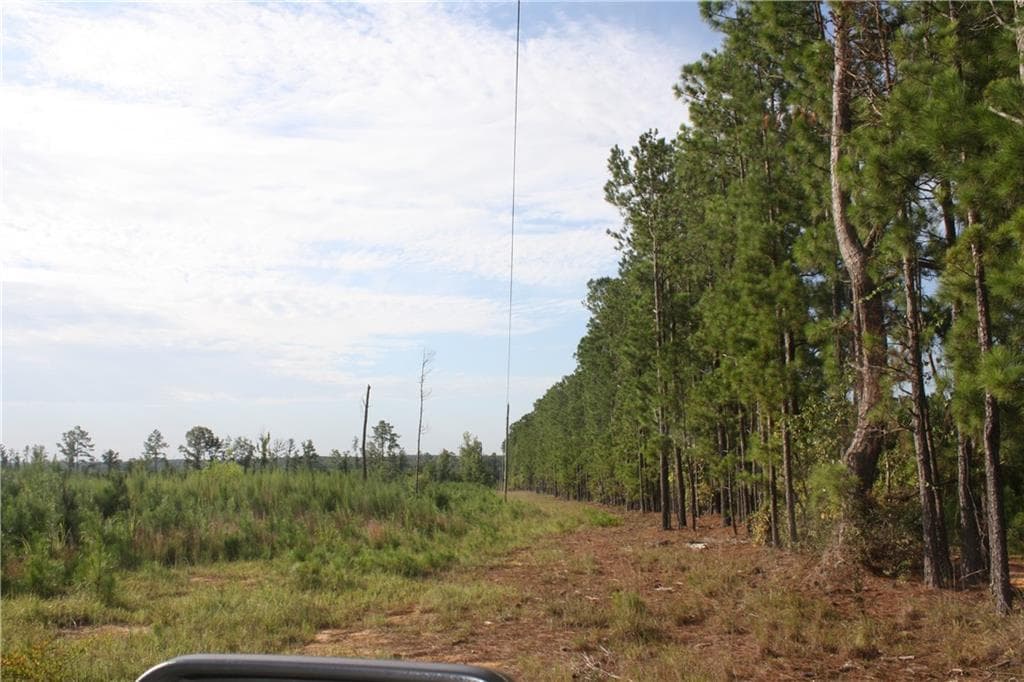 unimproved land for sale at 0 Balerma Church Road, Sparta, GA 31087 — photo 8